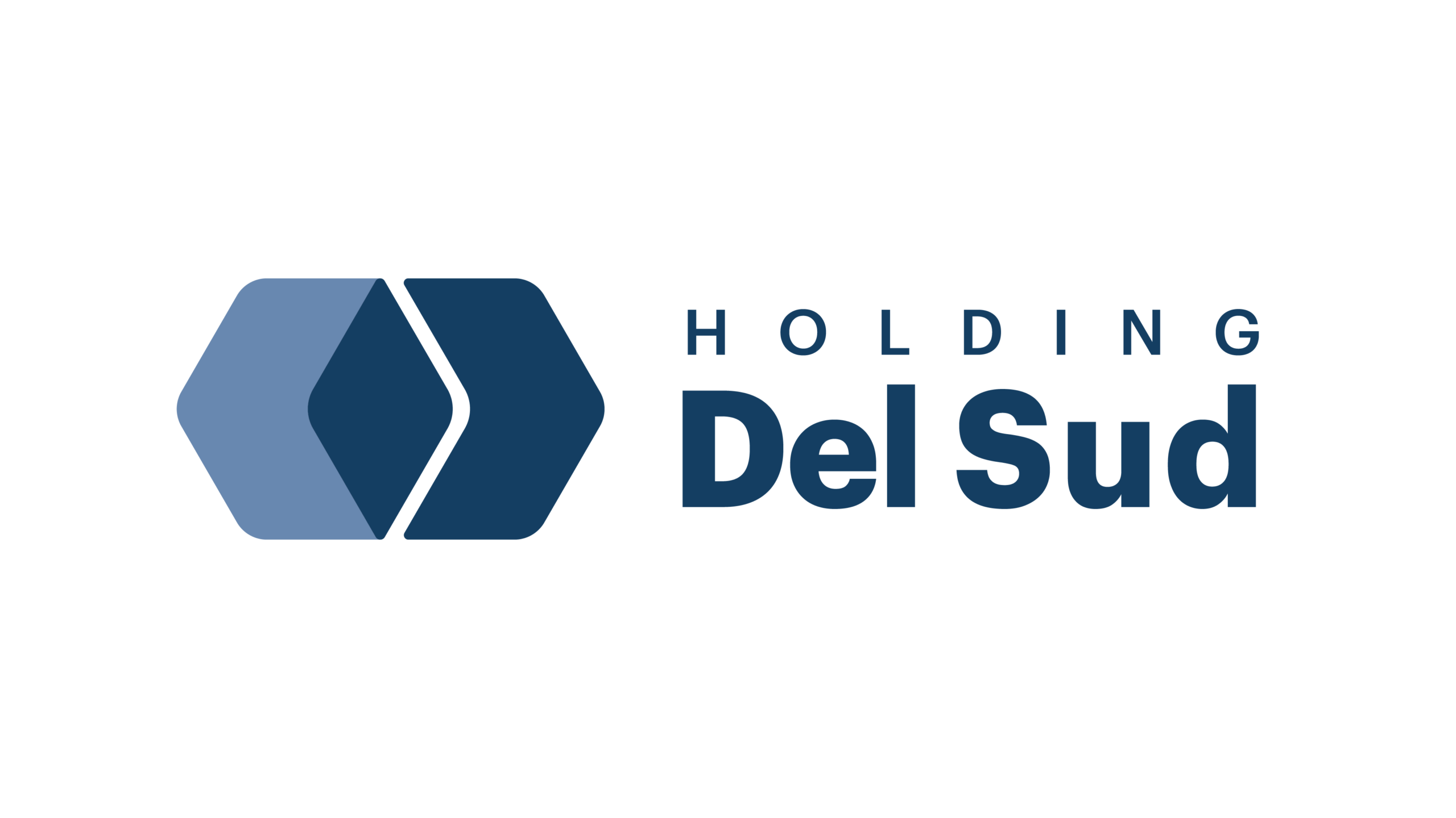 Holding Del Sud